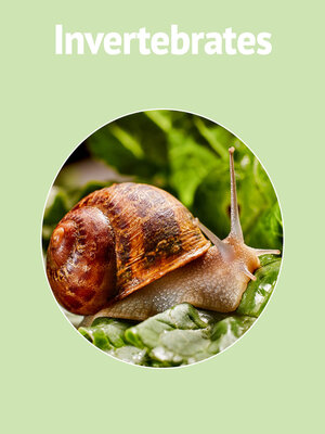 cover image of Invertebrates